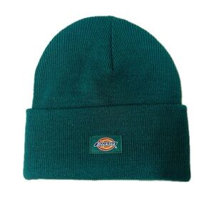 Dickies Ribbed Knit Beanie in Forest Green
